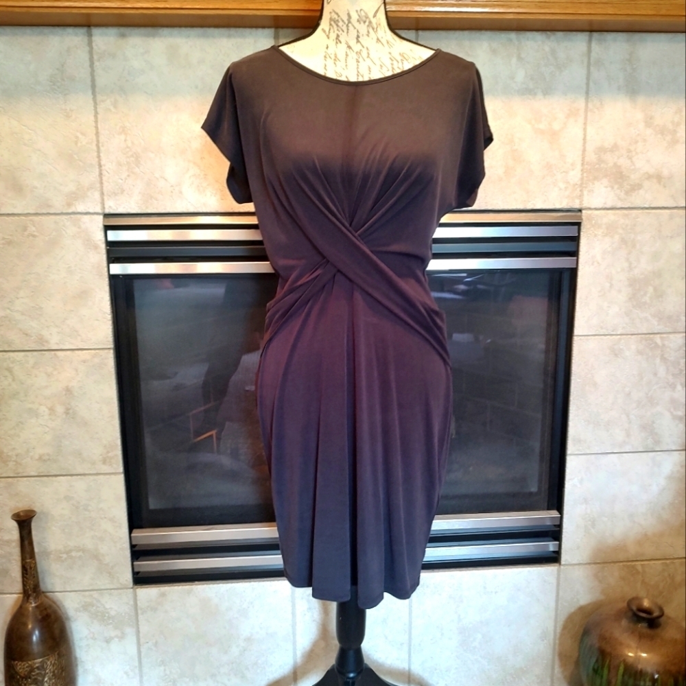 Paraphrase Small Dark Grey Dress!